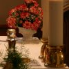Vidovska nedelja 2010_048